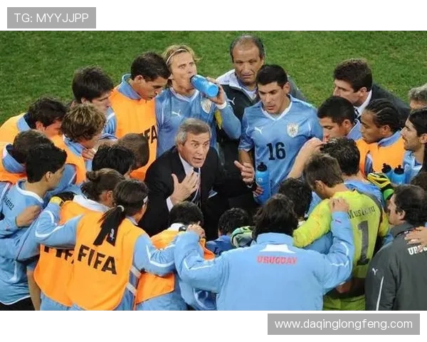 广州足球队在城市联赛中的团队协作表现分析与点评